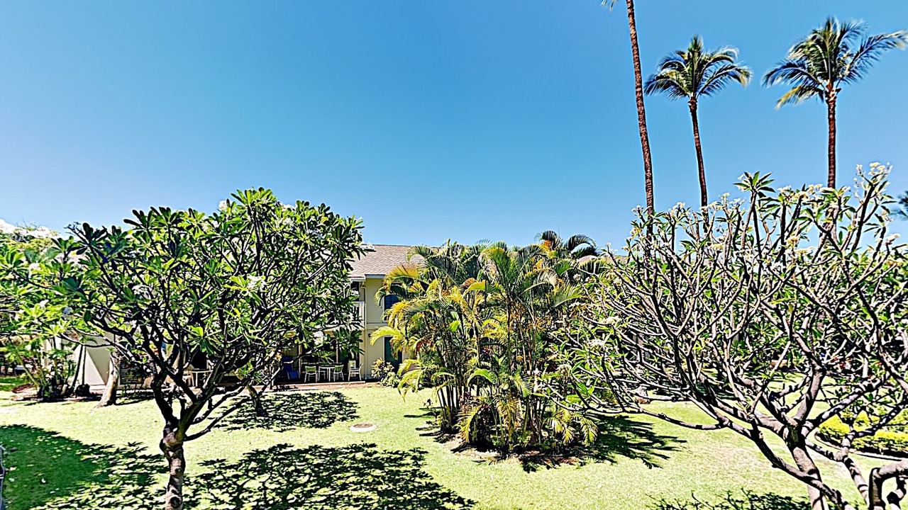 Photo of Others in Kihei