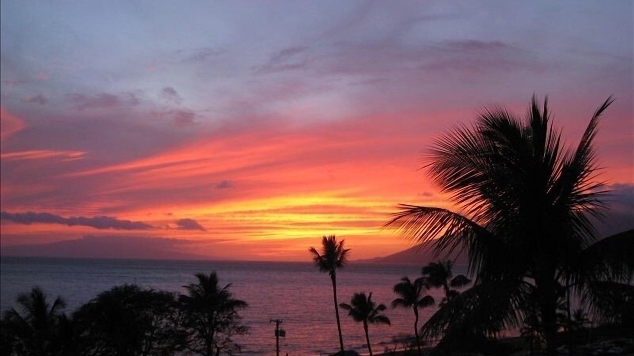 Photo of Others in Kihei