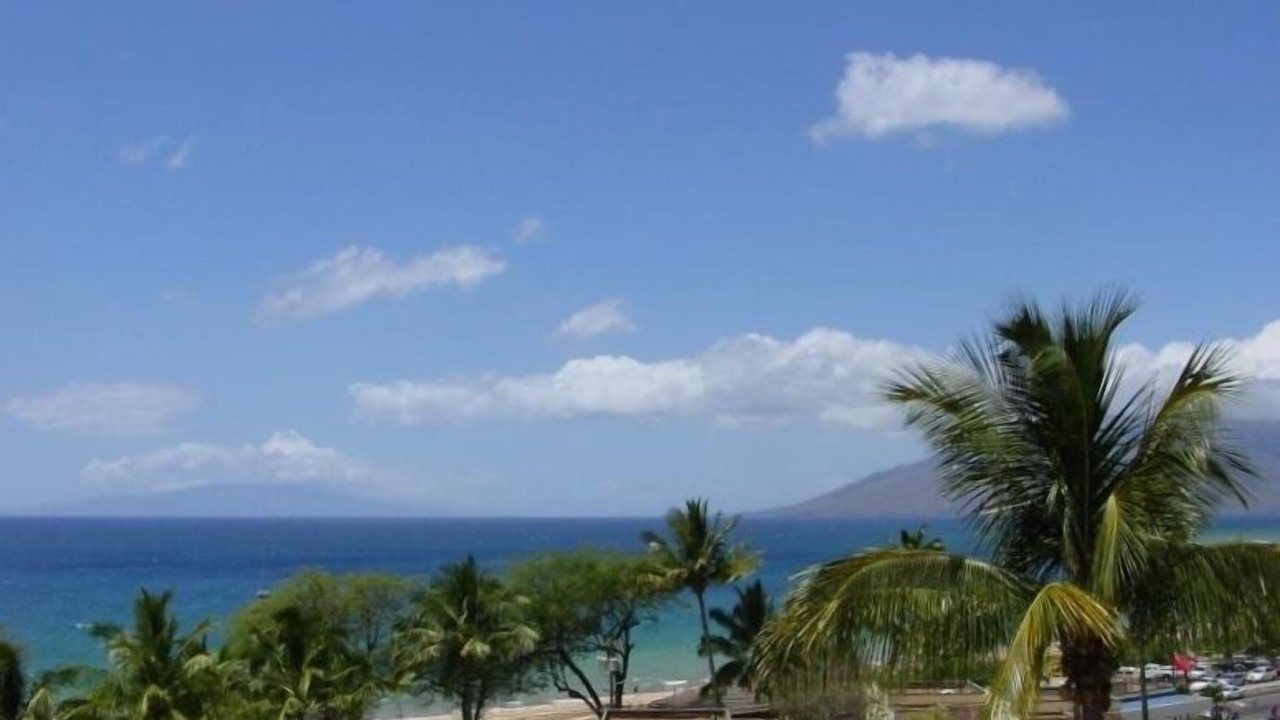 Photo of Others in Kihei