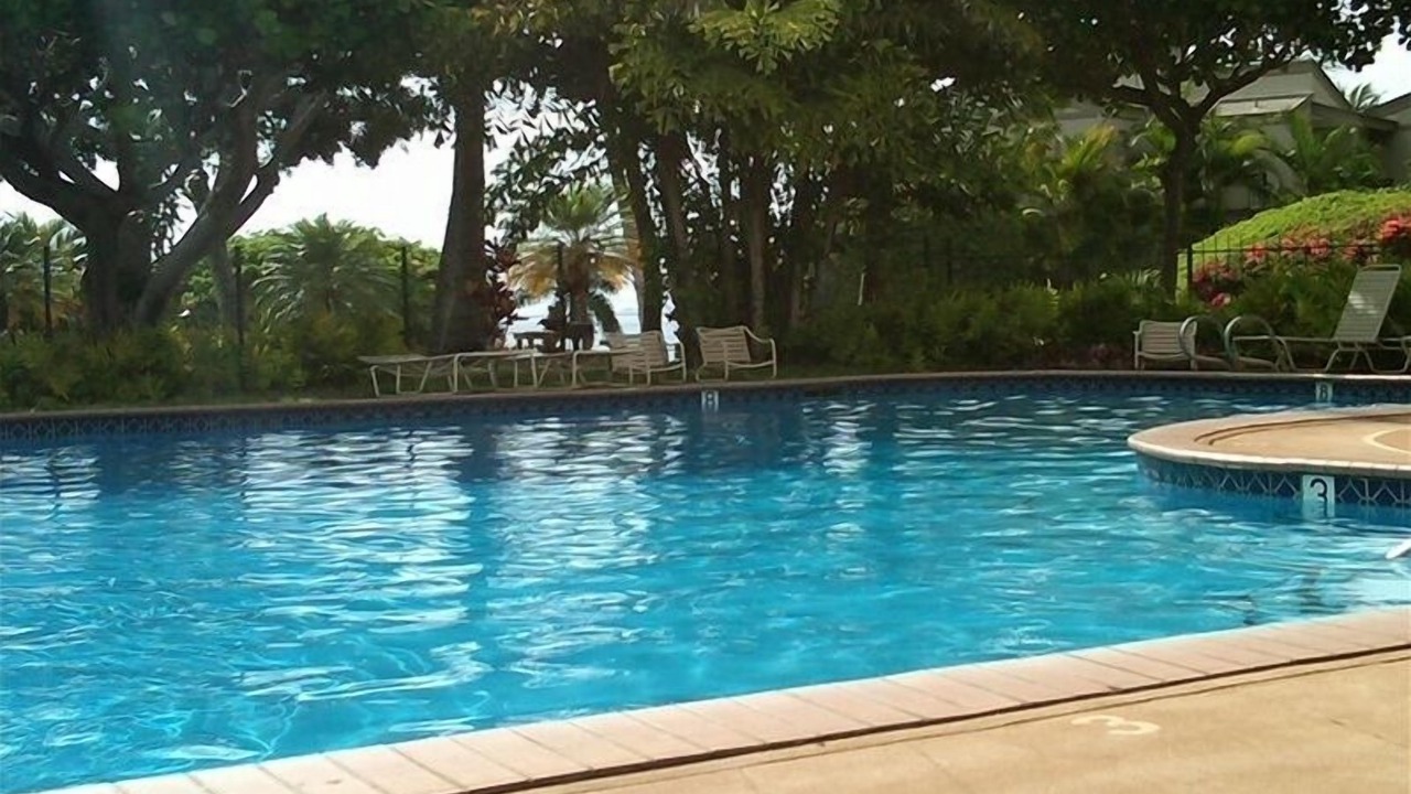 Photo of Outdoor in Wailea