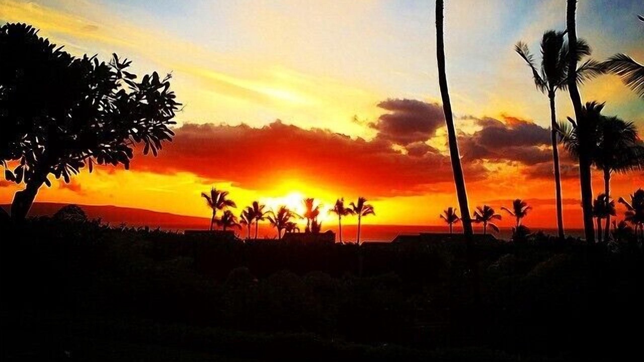 Photo of Others in Wailea