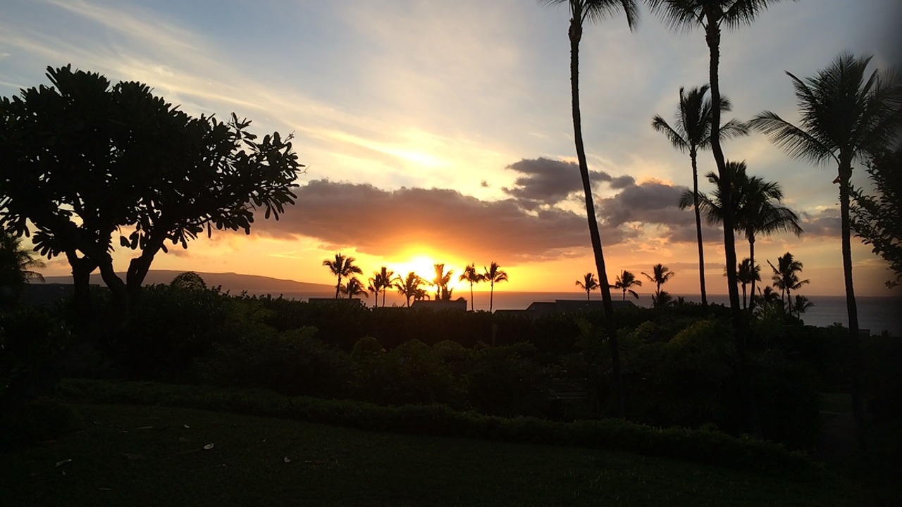 Photo of Others in Wailea