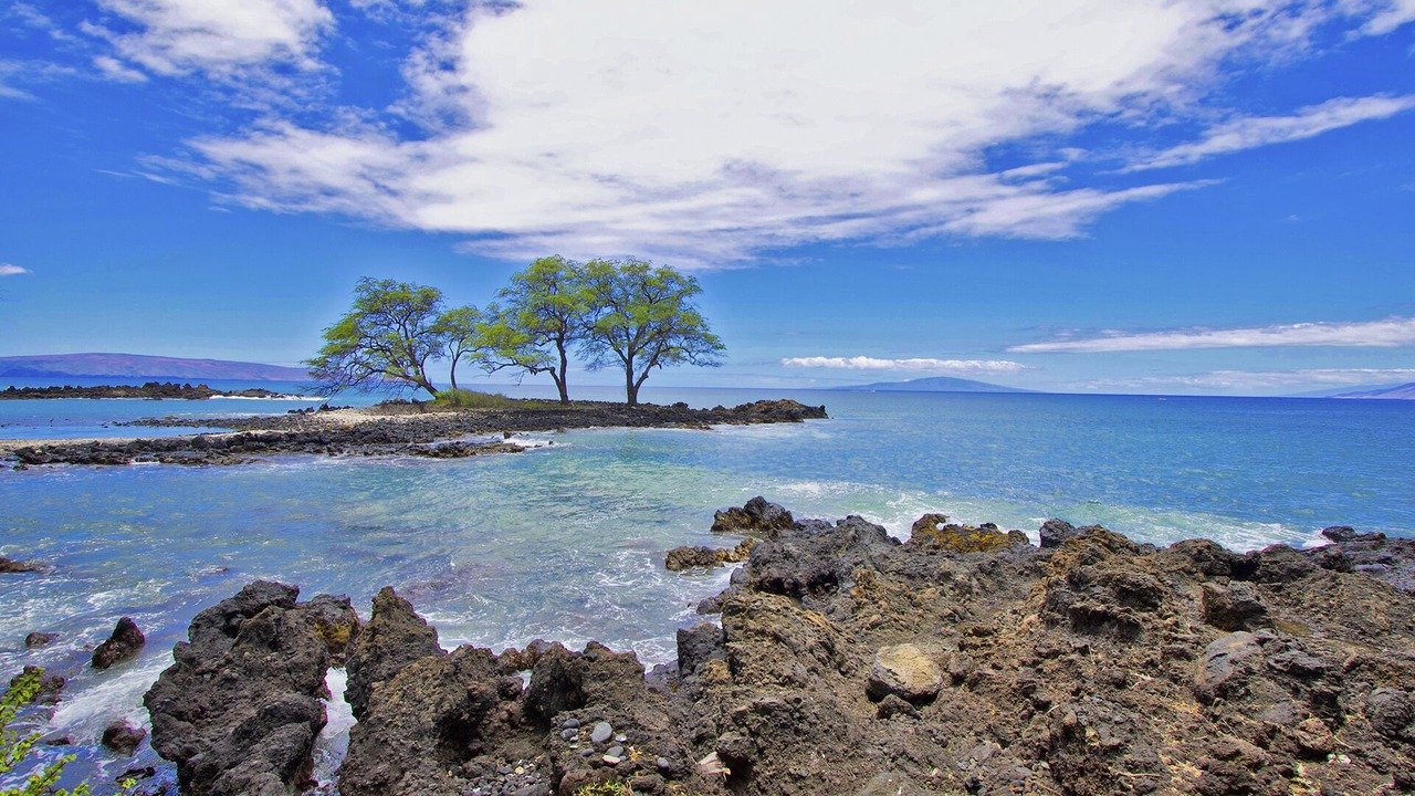 Photo of Others in Wailea