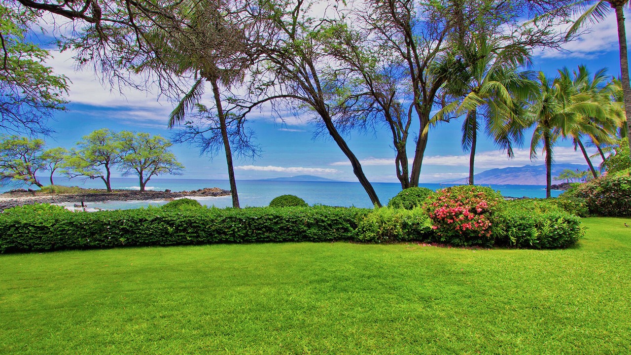 Photo of Outdoor in Wailea