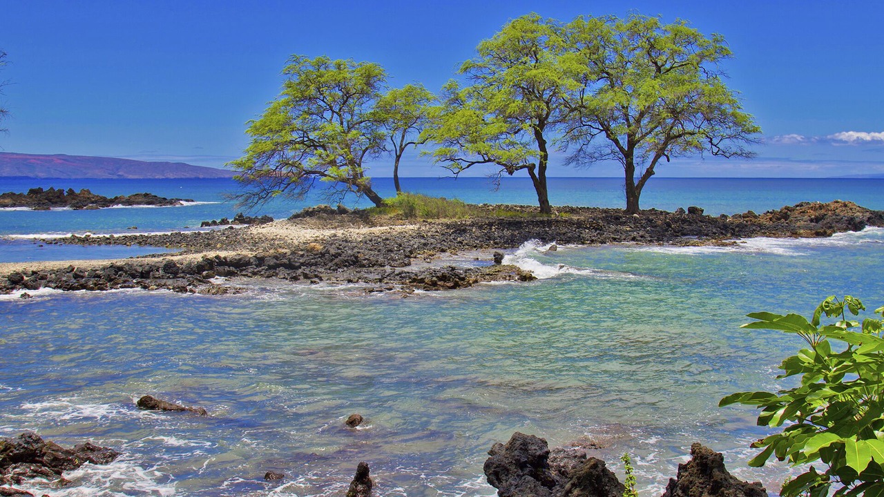 Photo of Others in Wailea