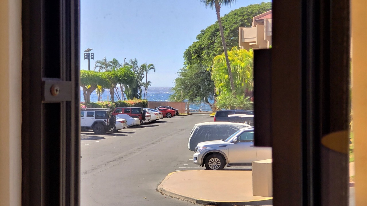 Photo of Others in Kihei
