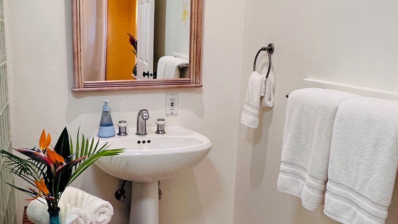Photo of Bathroom in Pupukea