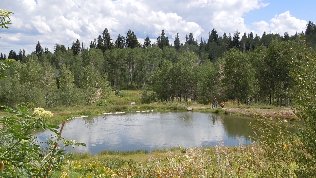Photo of Others in Tollgate Canyon