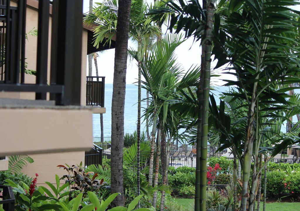 Photo of Others in Kailua-Kona