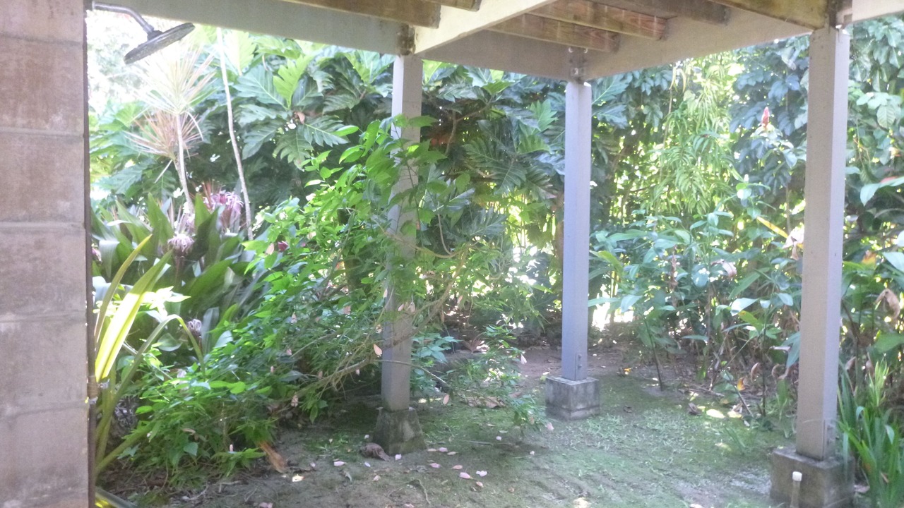 Photo of Outdoor in Kilauea