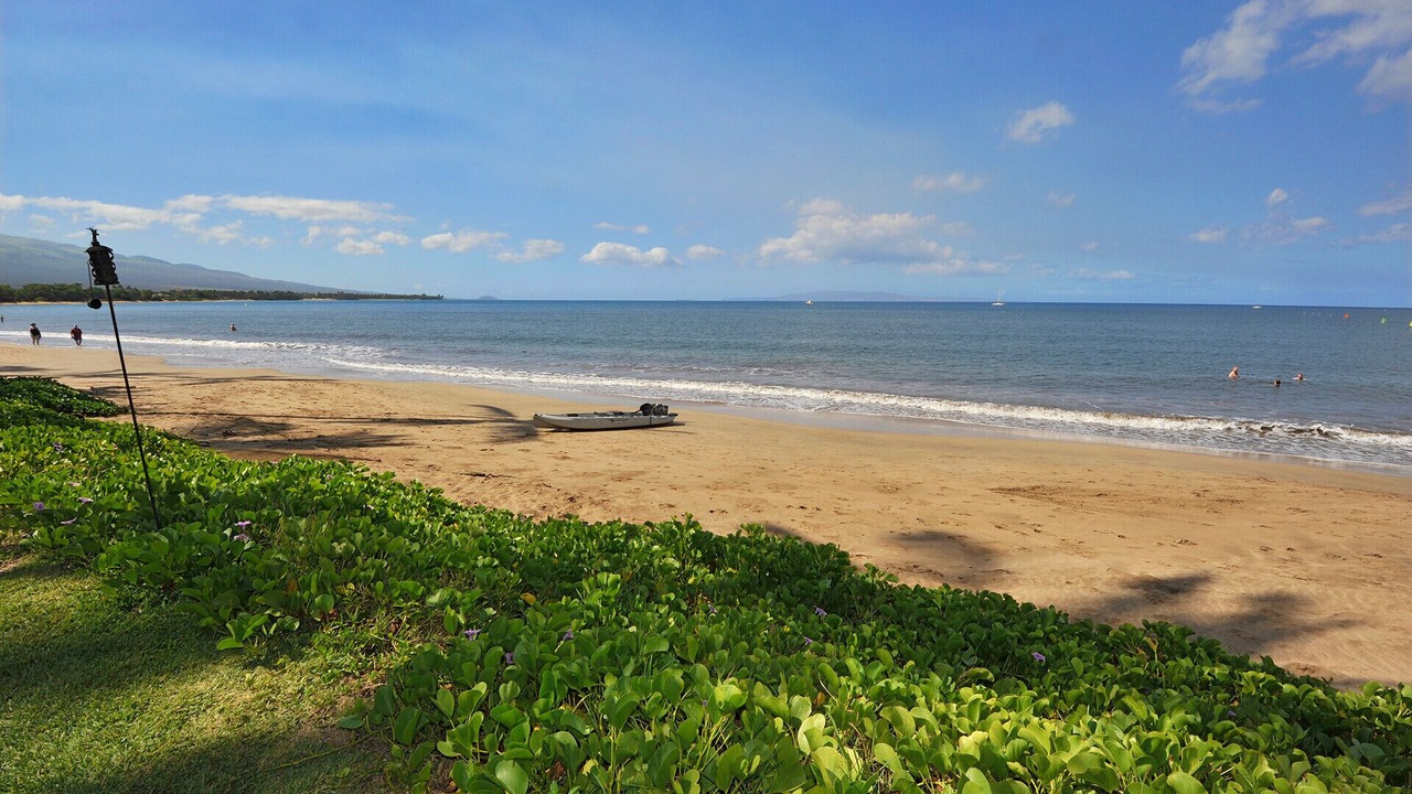 Photo of Others in Kihei