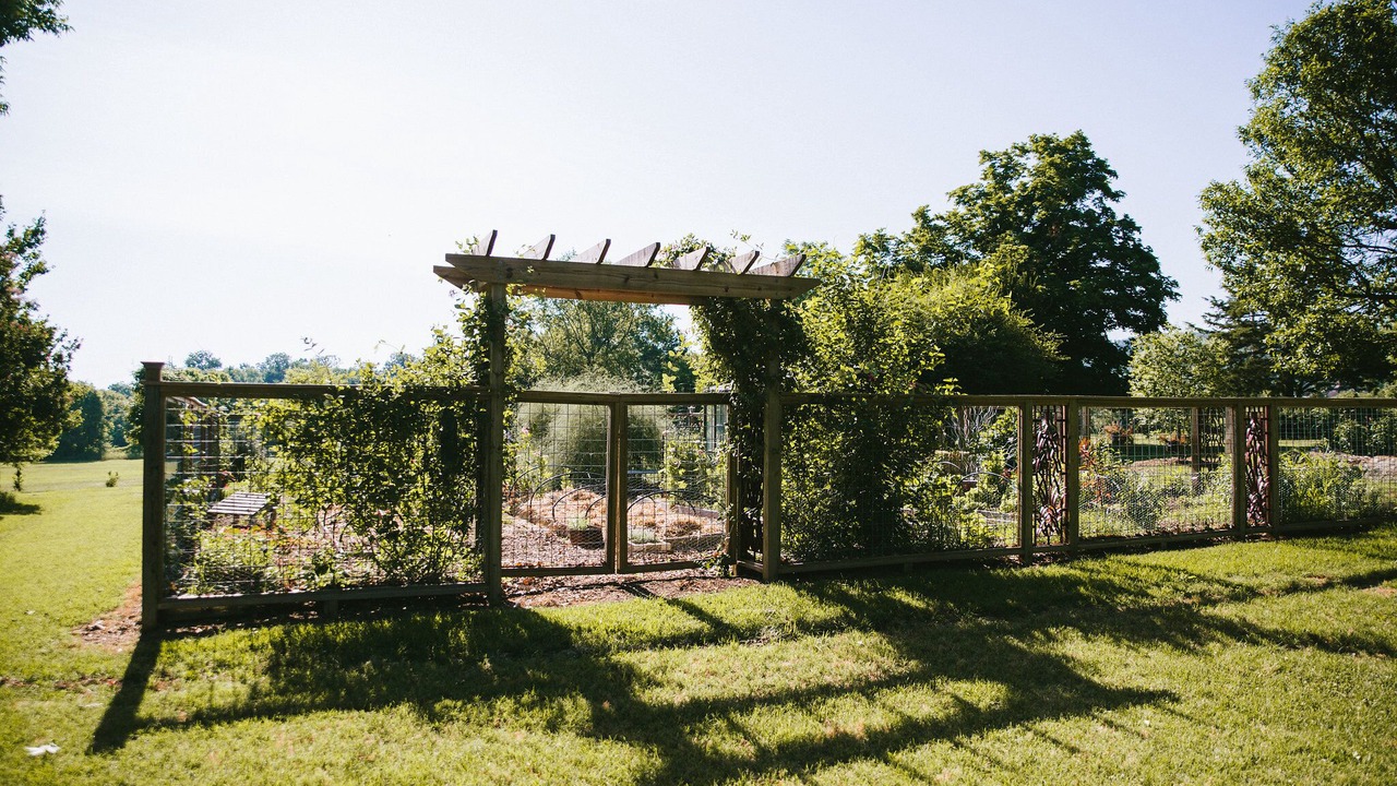 Photo of Outdoor in Fayetteville