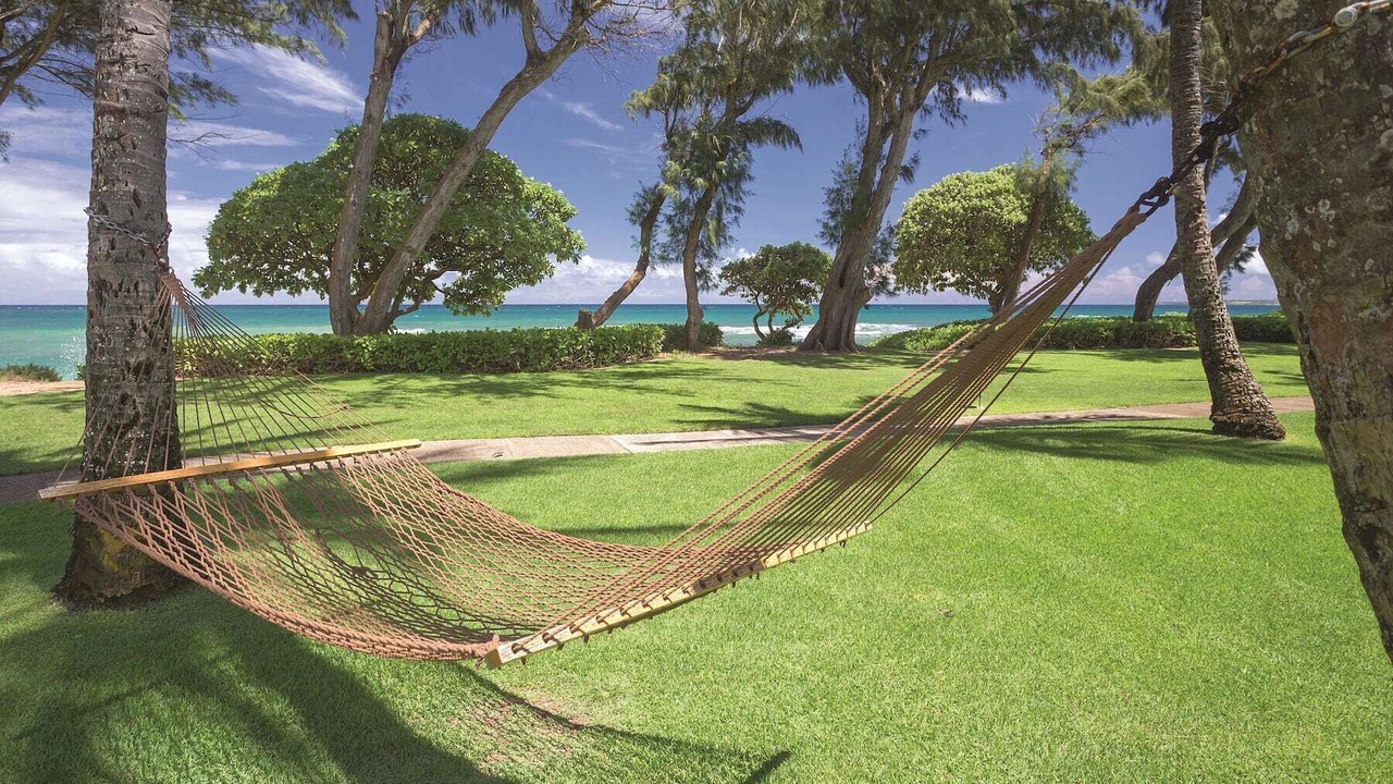 Photo of Outdoor in Wailua