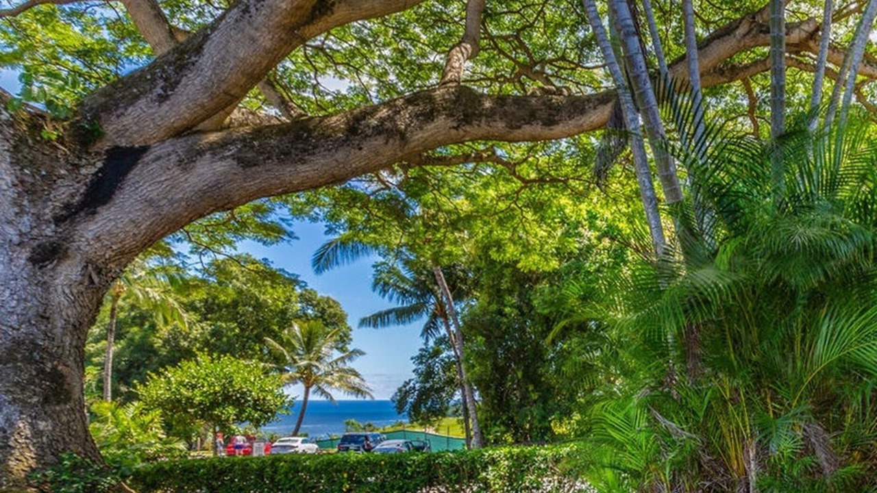 Photo of Others in Princeville
