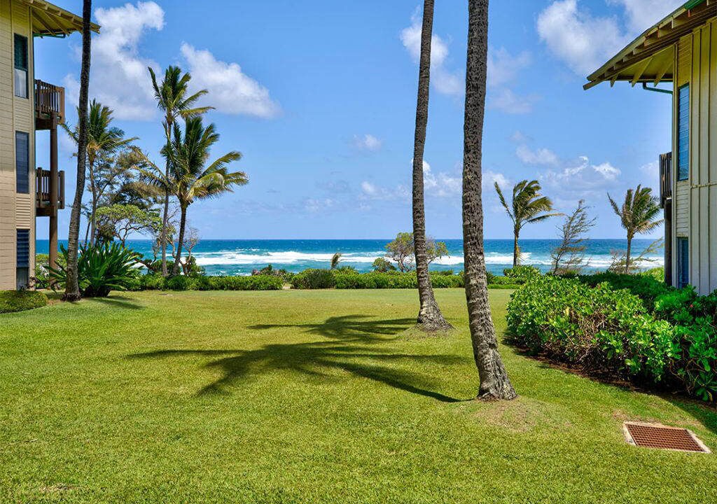 Photo of Outdoor in Lihue