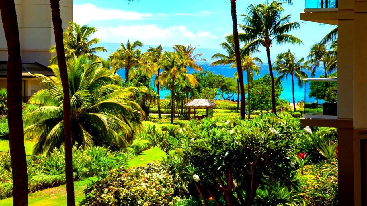 Photo of Others in Kaanapali