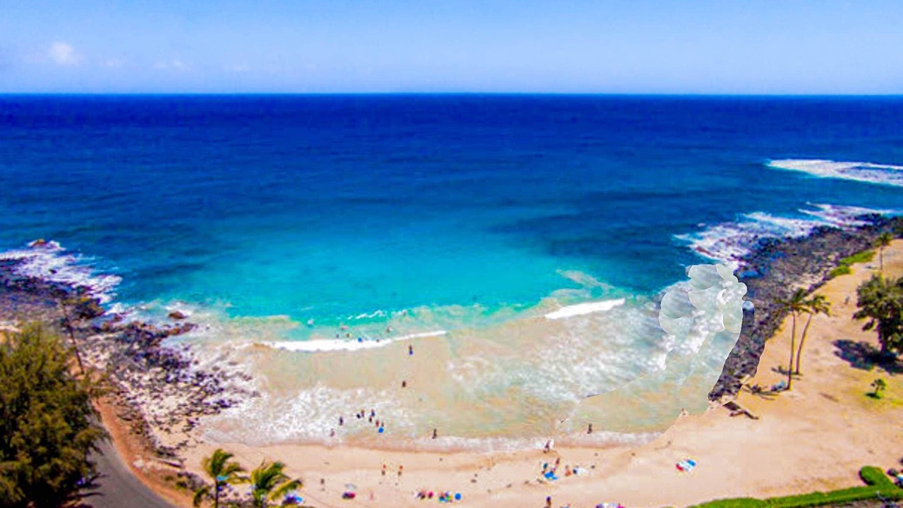 Photo of Others in Poipu