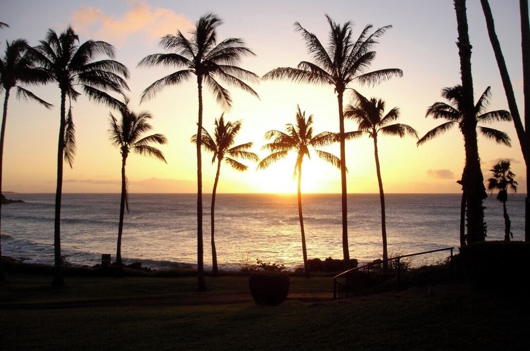 Photo of Others in Maunaloa