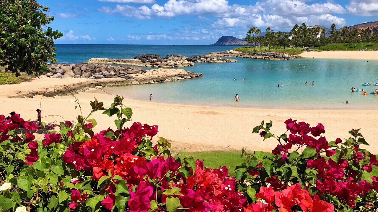 Photo of Others in Ko Olina