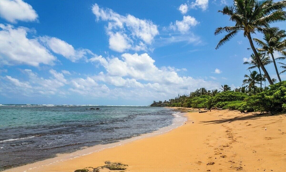 Photo of Others in Anahola