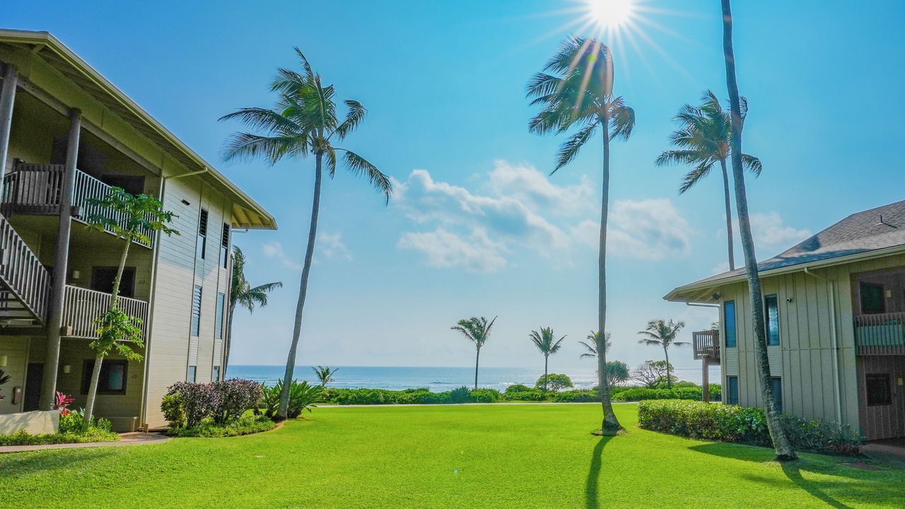 Photo of Outdoor in Lihue