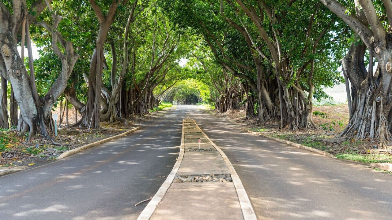 Photo of Others in Hanamaulu