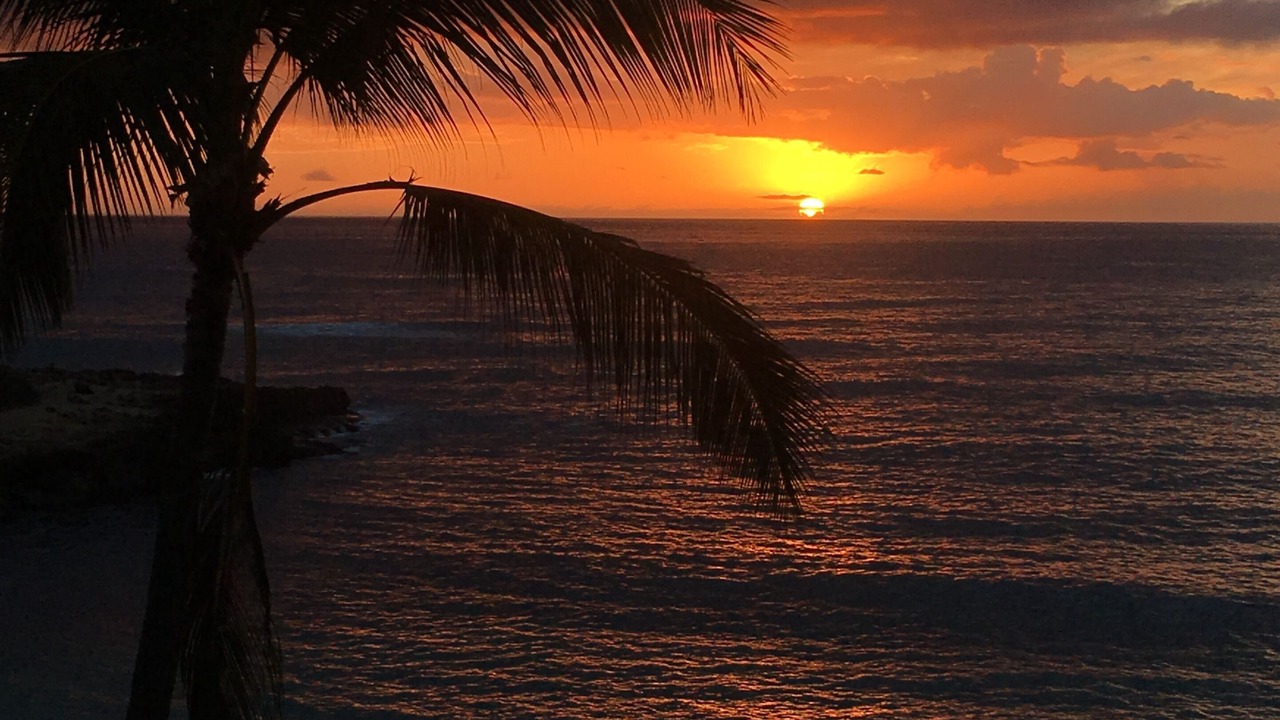 Photo of Others in Makaha