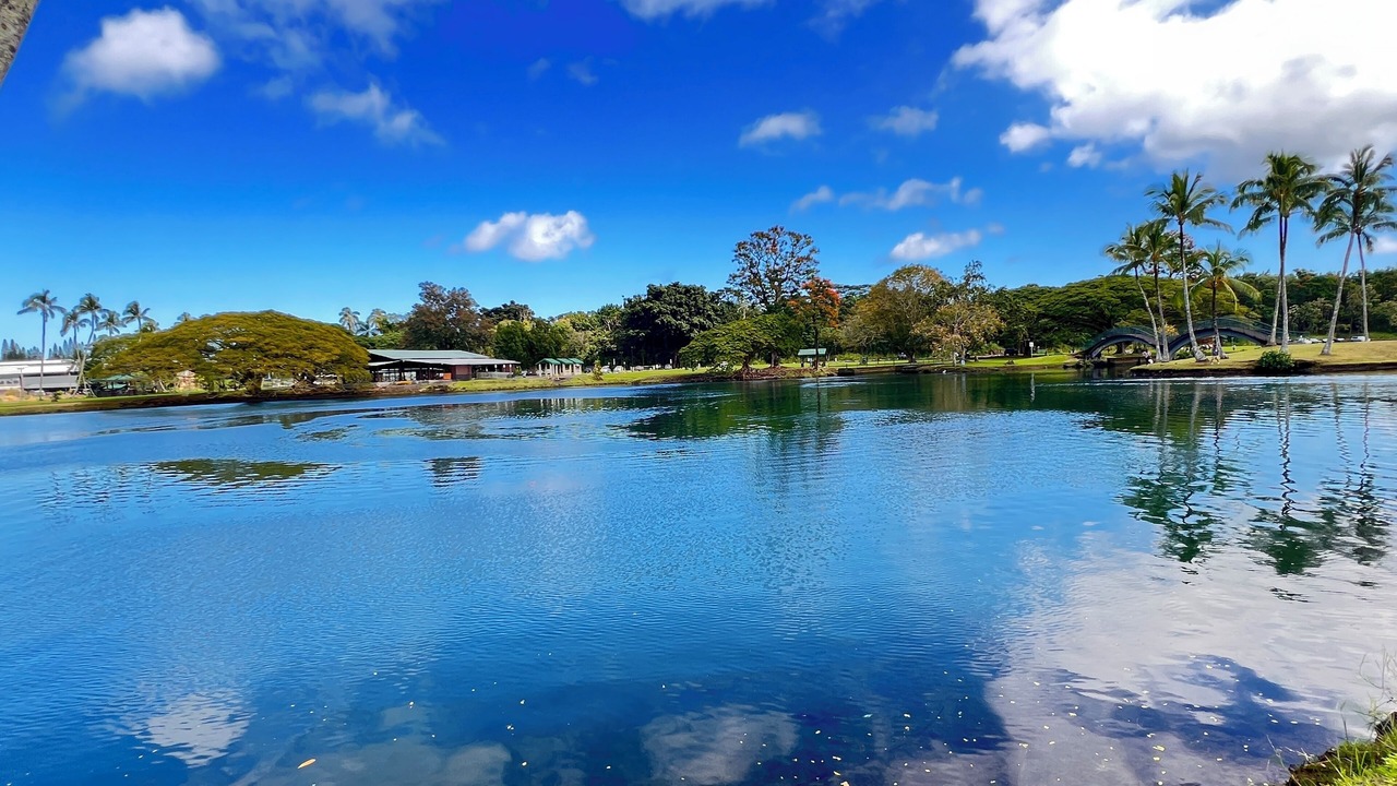 Photo of Others in Hilo