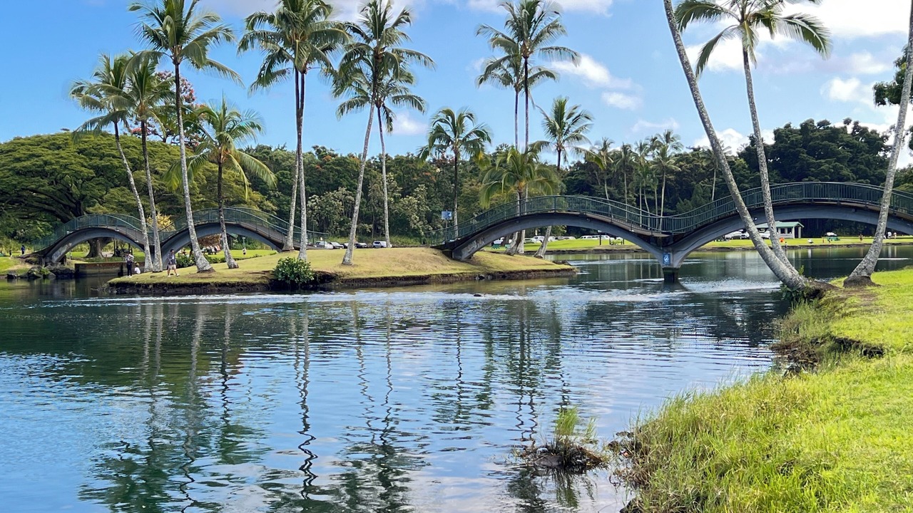 Photo of Others in Hilo
