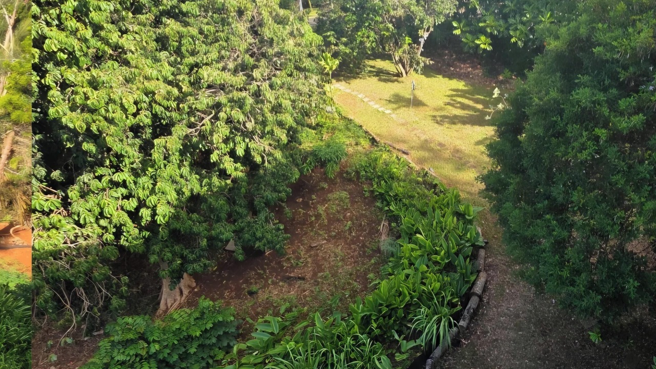 Photo of Outdoor in Pupukea