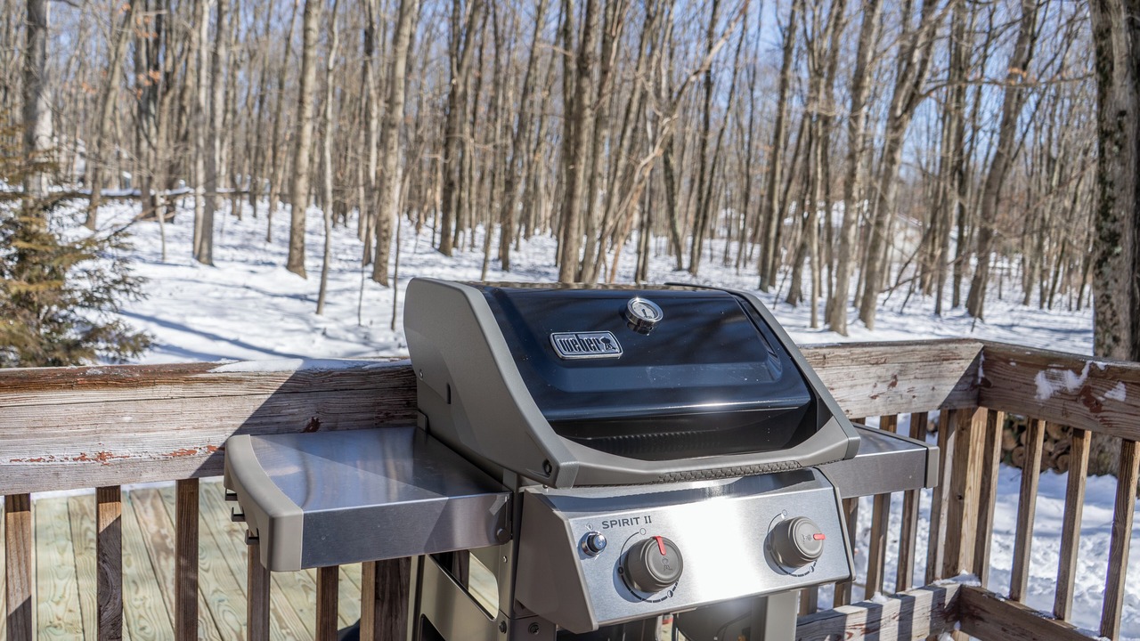 Photo of Outdoor in Mount Pocahontas