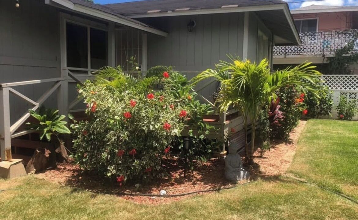 Photo of Outdoor in Waialua