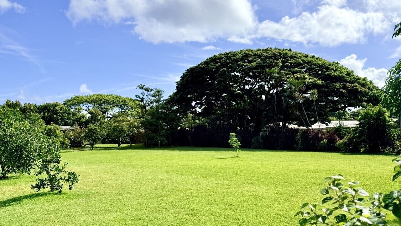 Photo of Others in Mokuleia