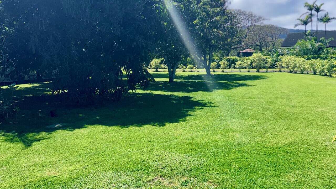 Photo of Outdoor in Mokuleia
