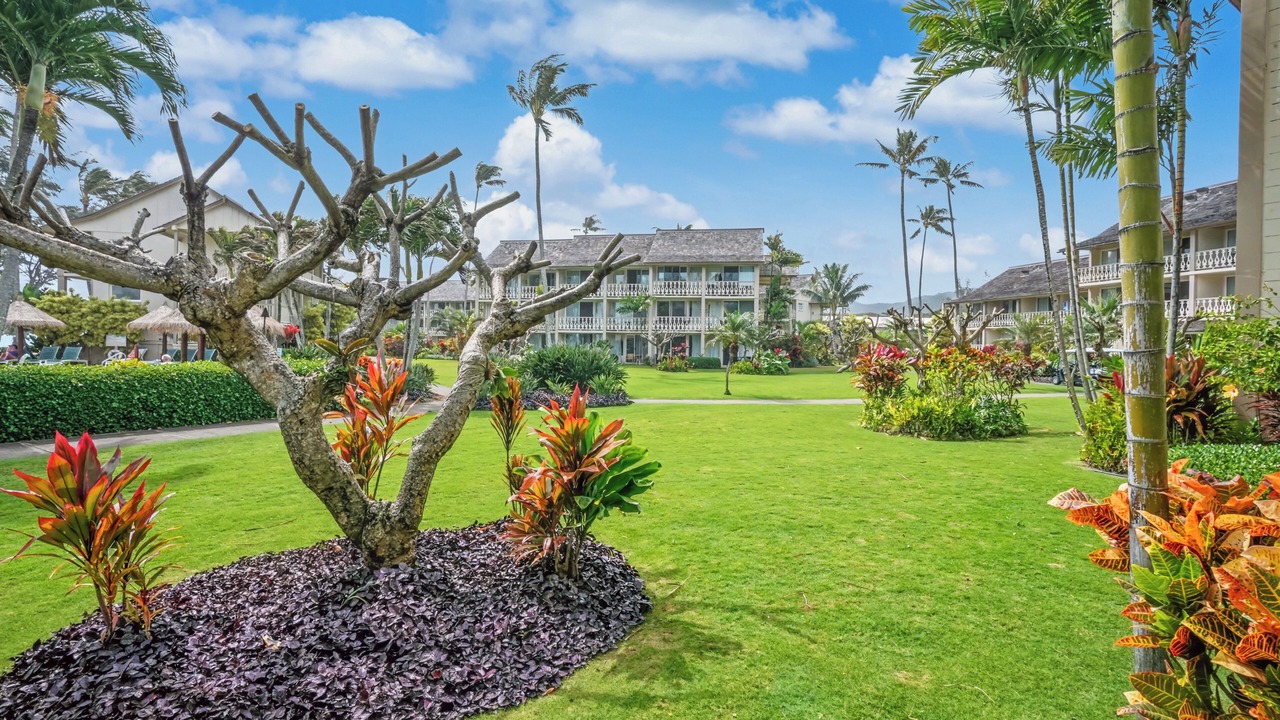 Photo of Others in Wailua