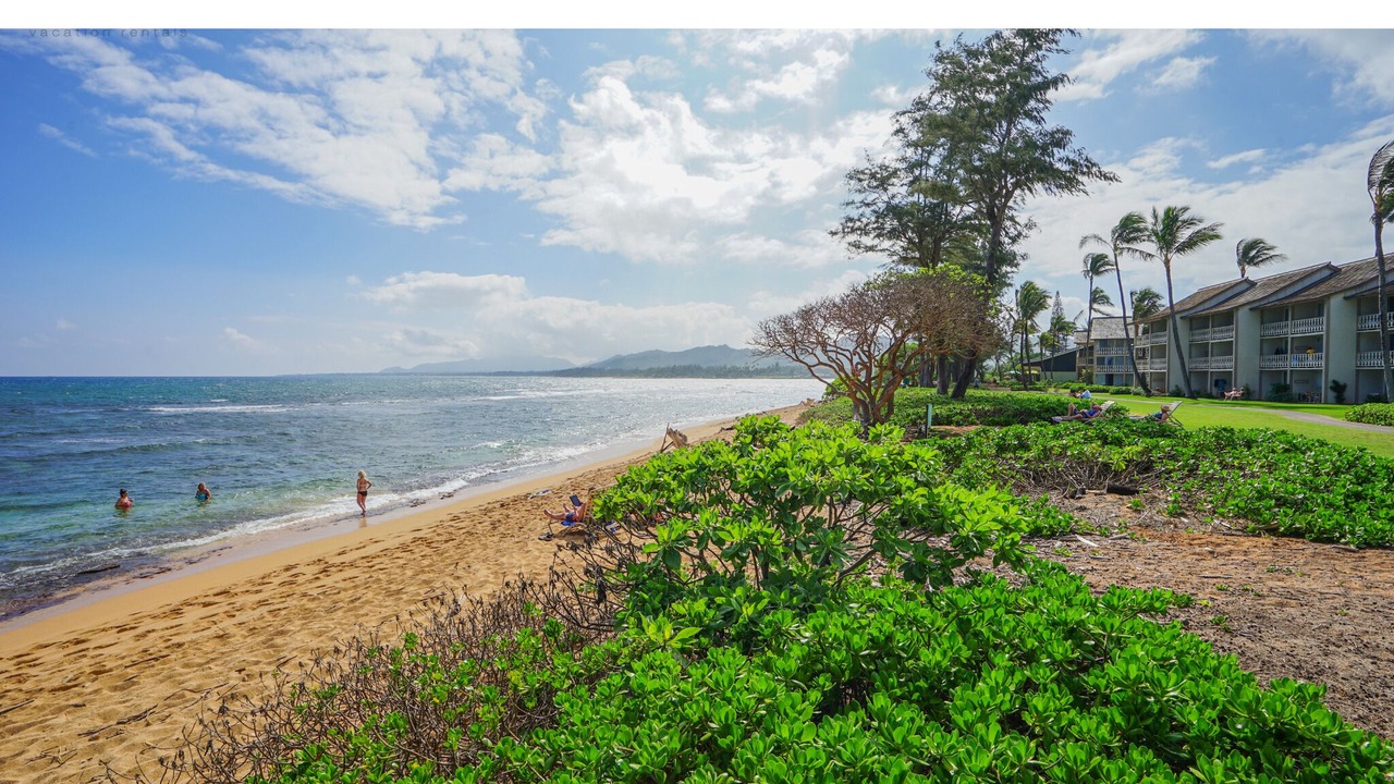 Photo of Others in Wailua