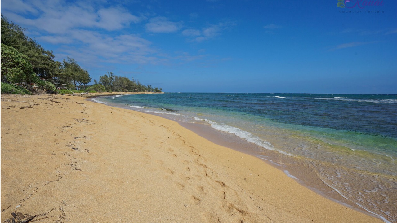 Photo of Others in Wailua