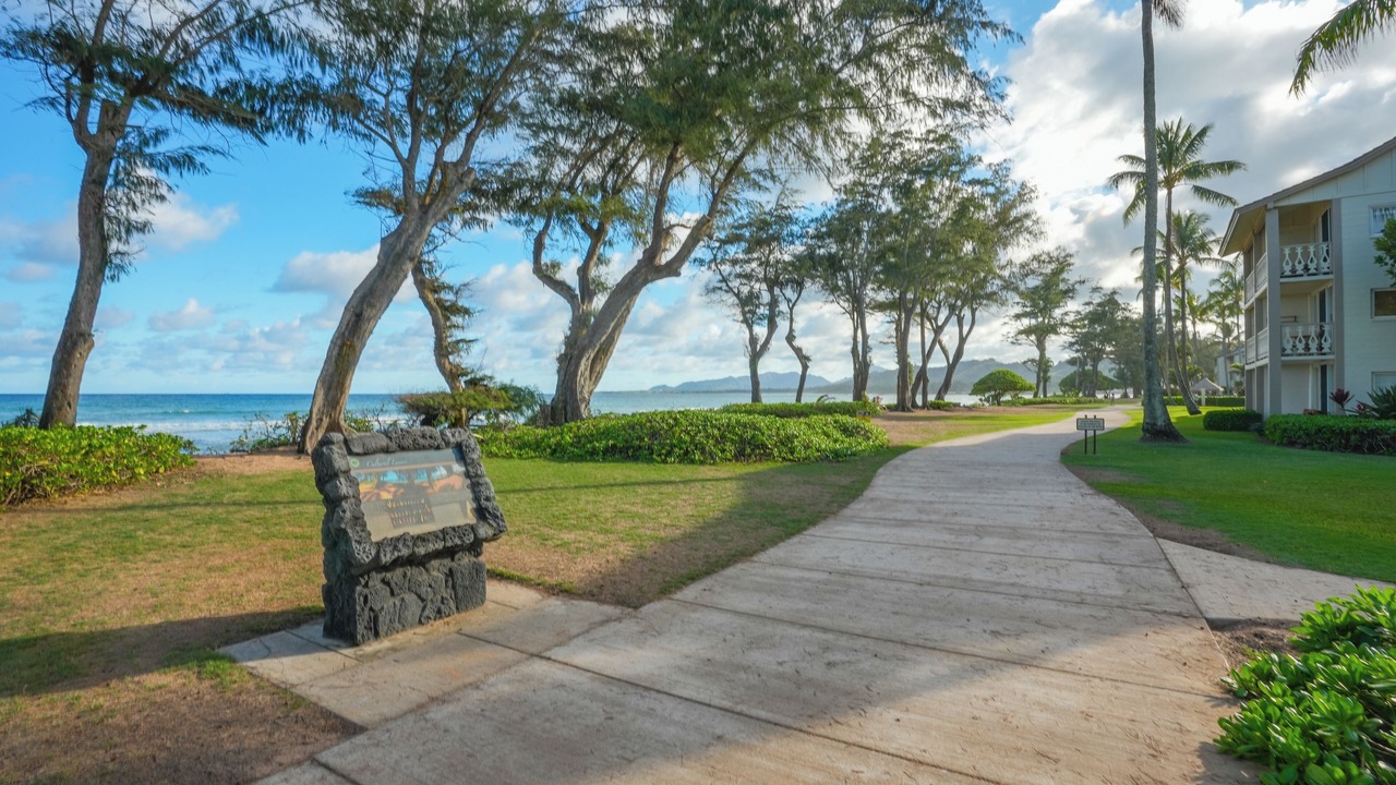 Photo of Others in Wailua