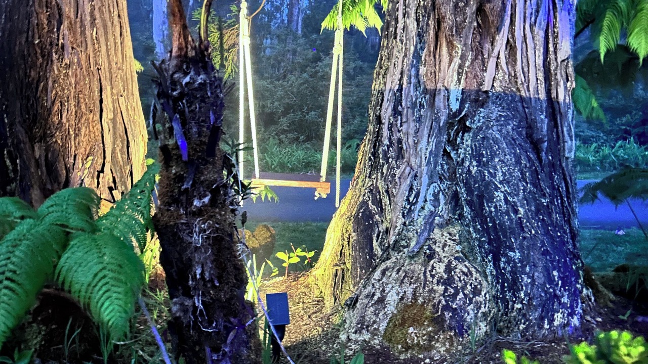 Photo of Others in Volcano