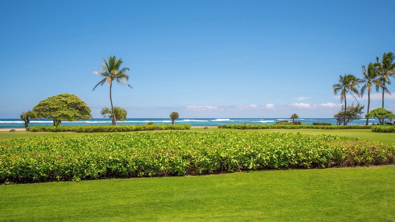 Photo of Others in Wailua
