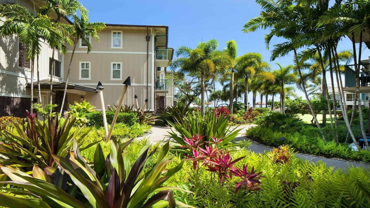 Photo of Outdoor in Princeville