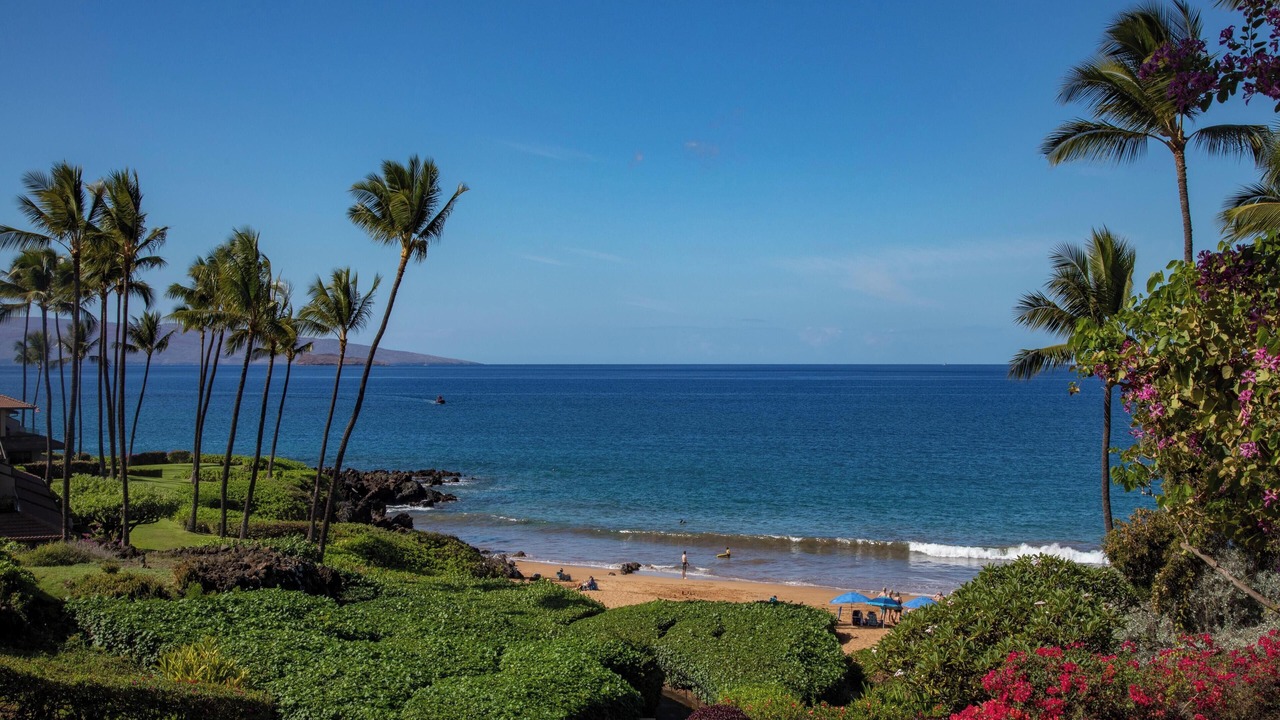 Photo of Others in Wailea