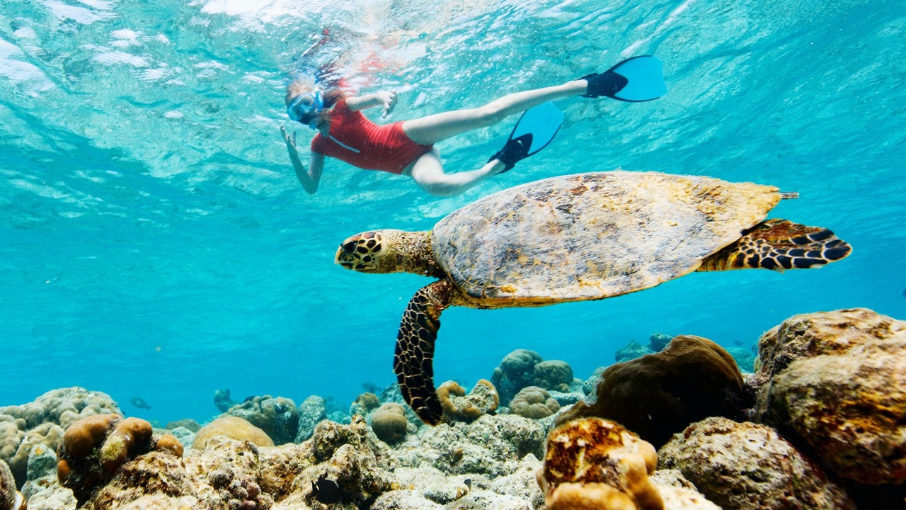 Photo of Others in Wailea