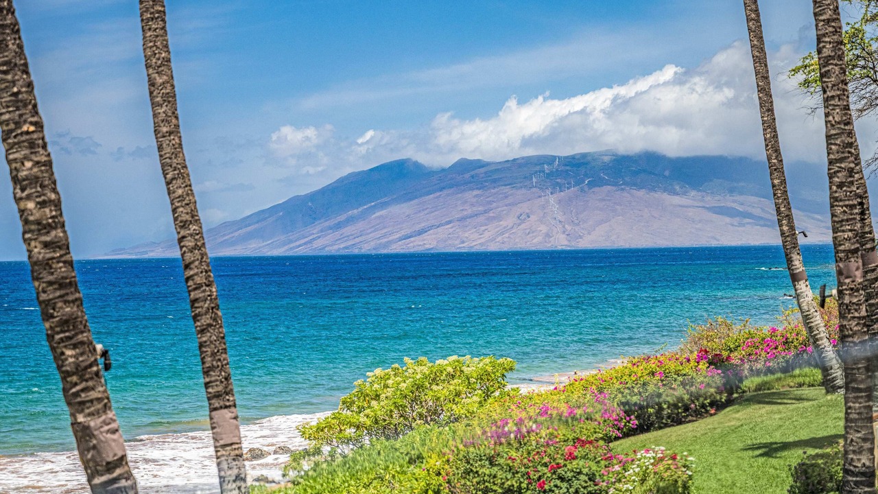 Photo of Others in Wailea
