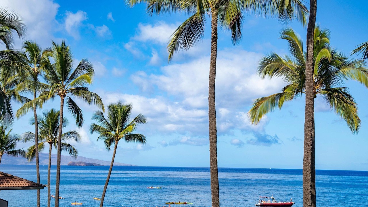 Photo of Others in Wailea