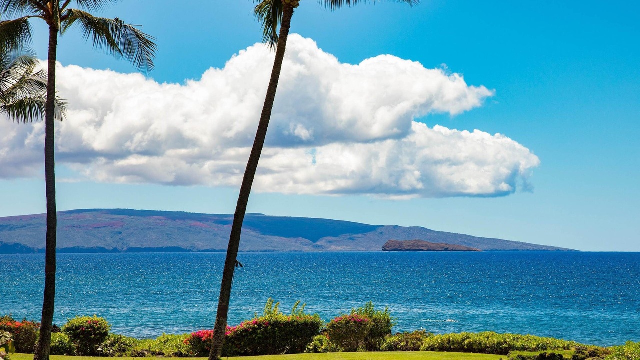 Photo of Others in Wailea