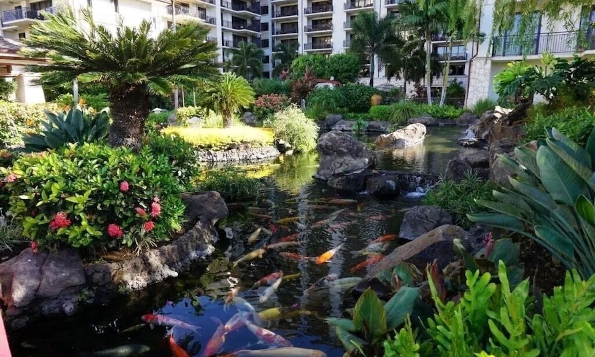 Photo of Outdoor in Ko Olina