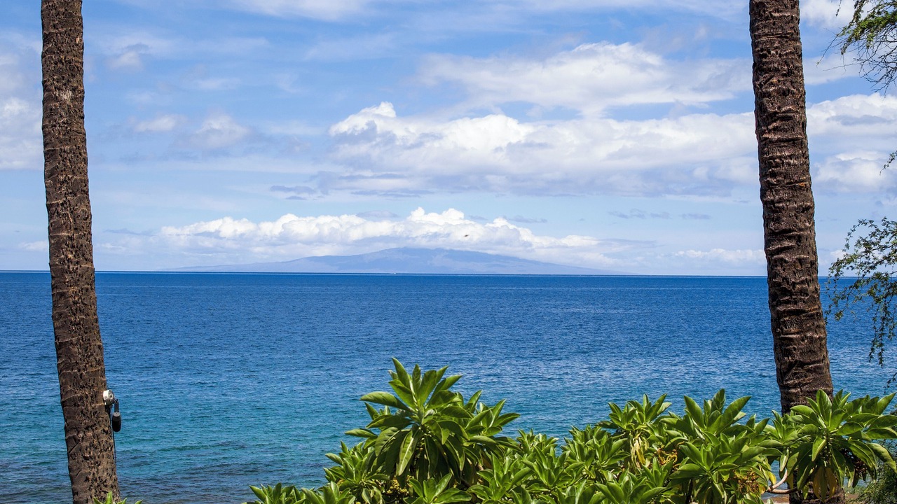 Photo of Others in Wailea