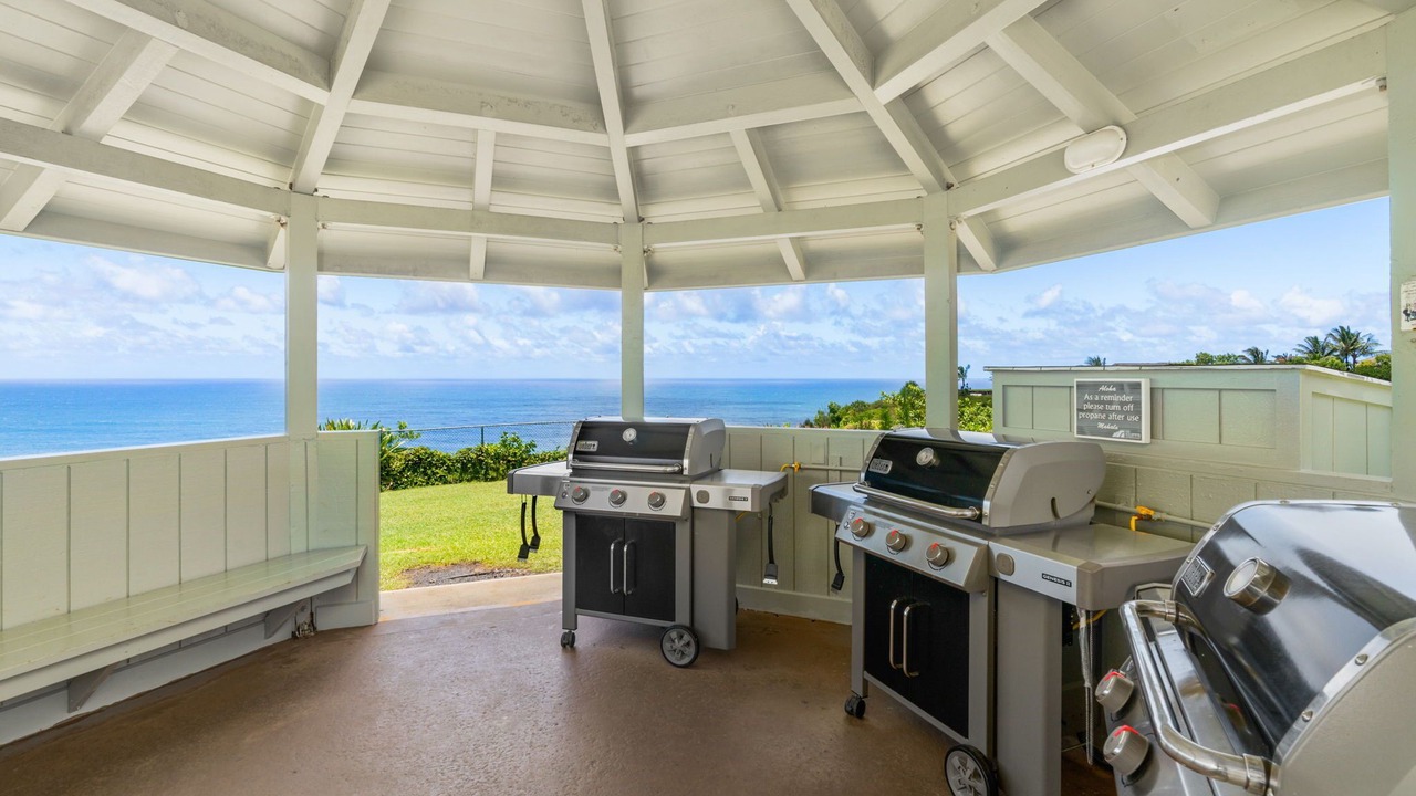 Photo of Outdoor in Princeville