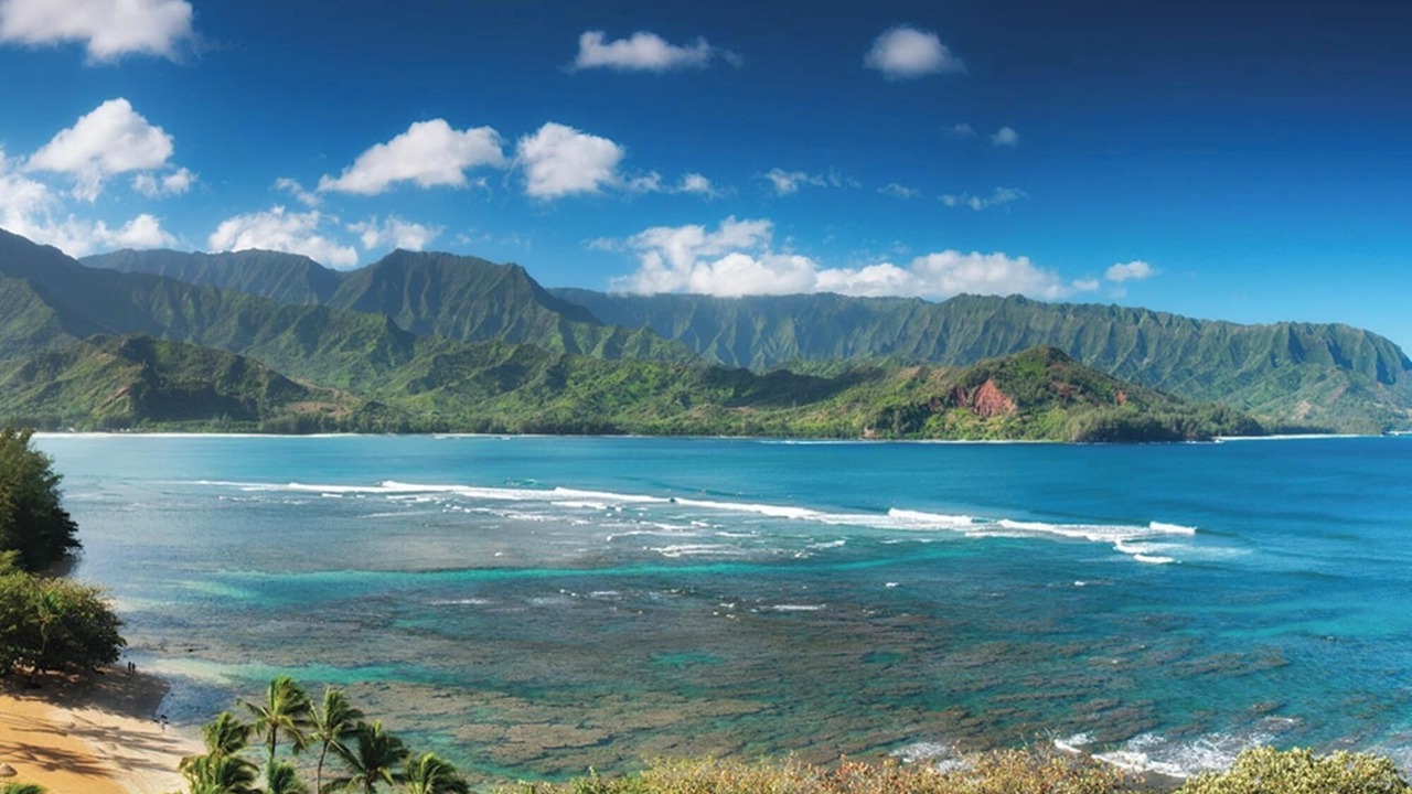 Photo of Others in Princeville